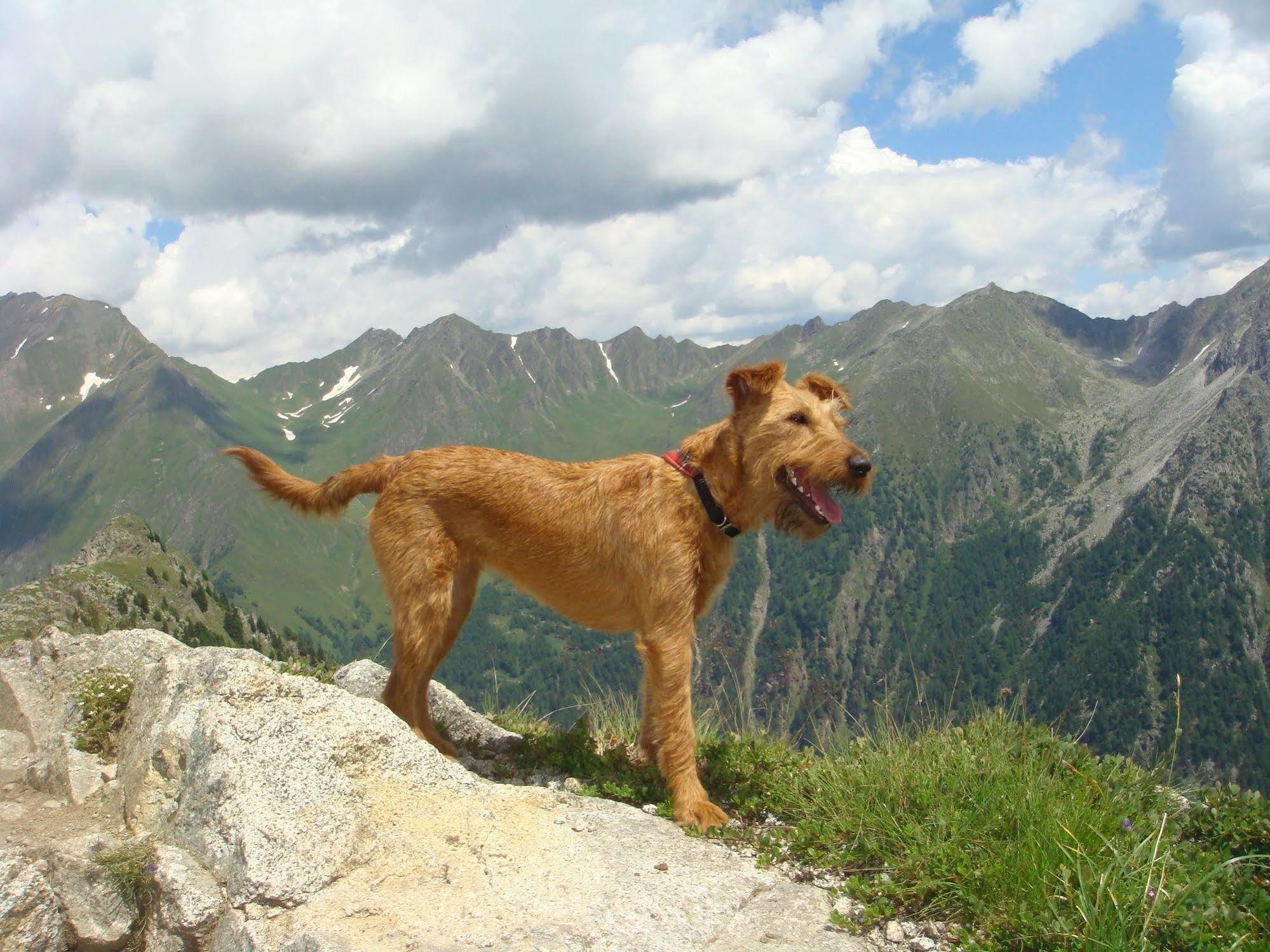 Bed & Breakfast Abis - Dolomites Rio di Pusteria Luaran gambar