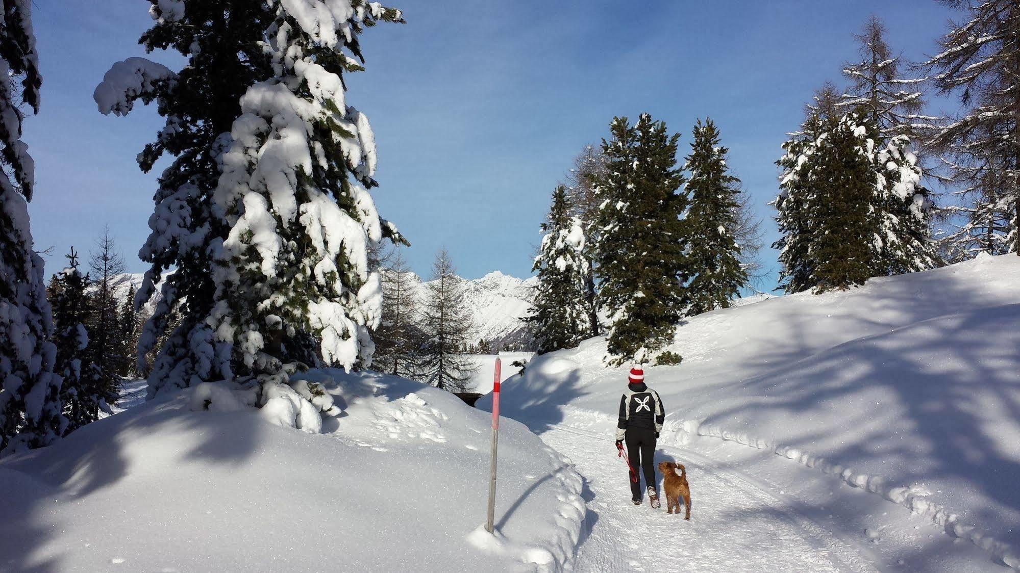 Bed & Breakfast Abis - Dolomites Rio di Pusteria Luaran gambar